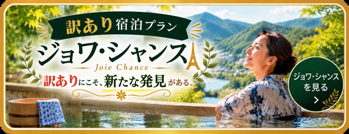 訳あり 訳ありプラン