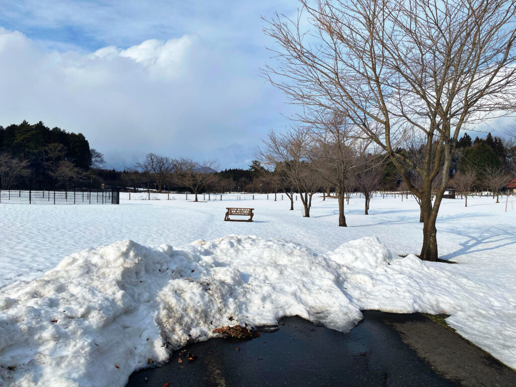 冬の小岩井農場でひとりの世界を堪能!