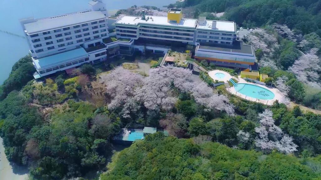 #47 伊勢志摩国立公園上空を舞うマダム・バタフライ