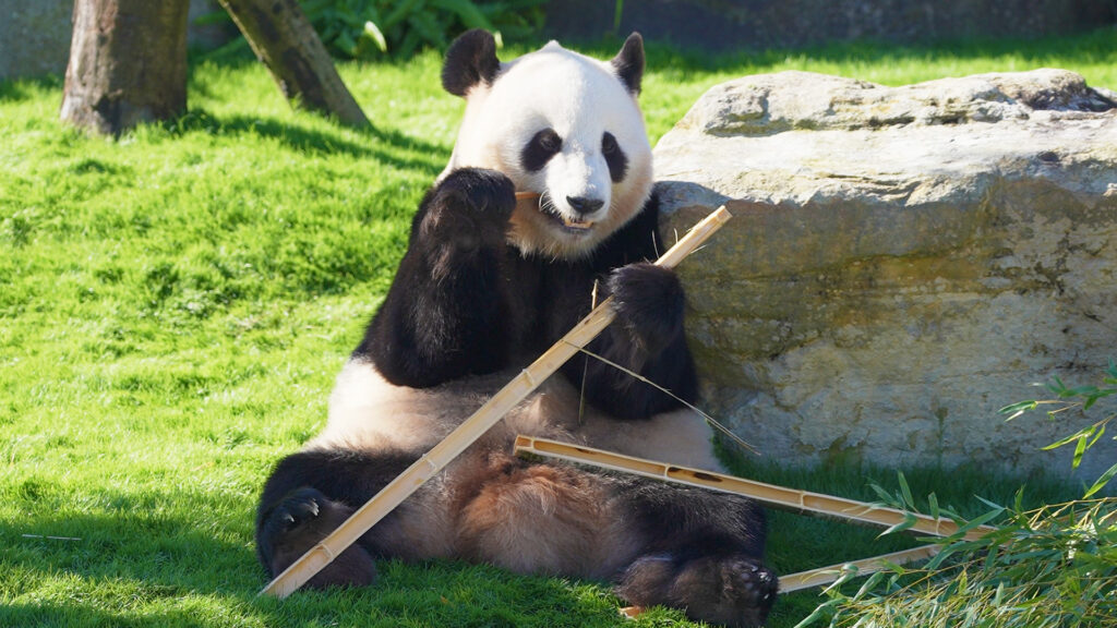 #16 陸・海・空から動物たちにこんにちは!
