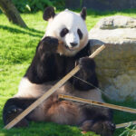 #16 陸・海・空から動物たちにこんにちは！