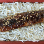 #02 岳南電車と田子の浦いわしらす重