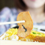 #13 特急きりしまとかしわめし