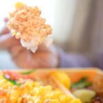 #16 特急やくもと大山どりの鶏三昧弁当