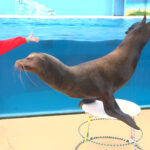 #05 海・島・生き物と生きる