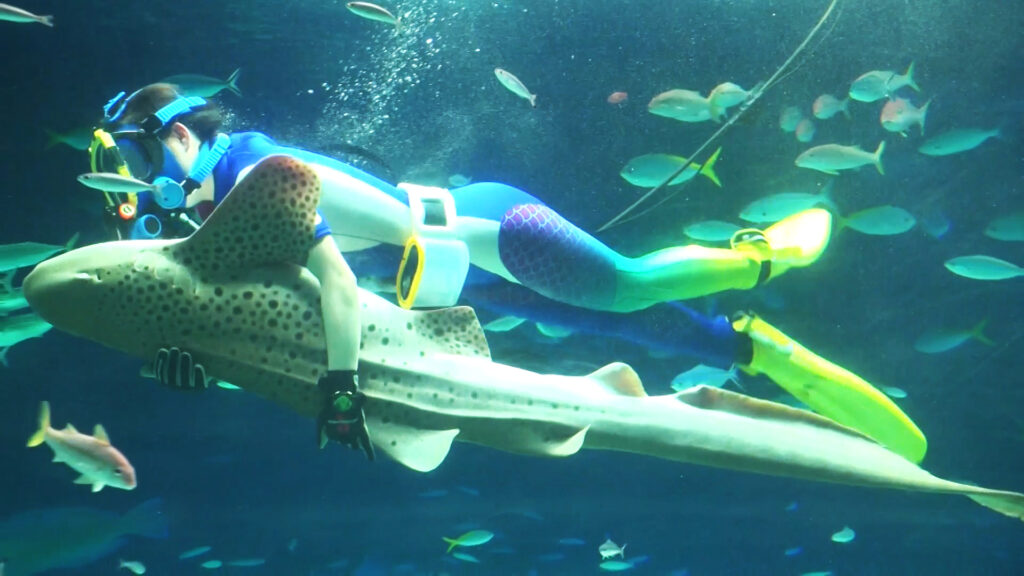 #06 大都会に息づく水族館のパイオニア