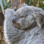 #10 市民の森に囲まれた希少動物たちとのひととき