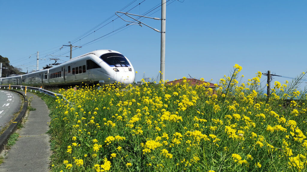 #14 九州にはばたく白く美しき翼