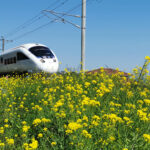 #14 九州にはばたく白く美しき翼