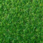 タイトルが入りますタイトルが入りますタイトルが入りますa